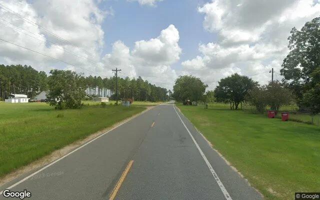 Decorative background for 7.45 Acres in Alma - Bacon County, GA image 6
