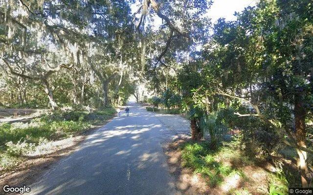 Decorative background for 0.22 Acres in Saint Simons Island - Glynn County, GA image 6