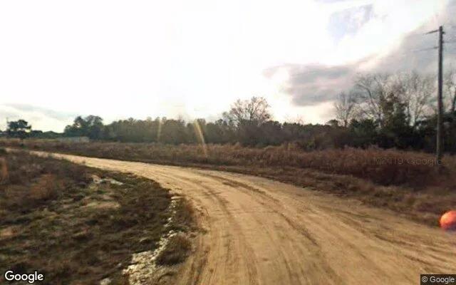 Decorative background for 1.5 Acres in Newton - Baker County, GA image 5