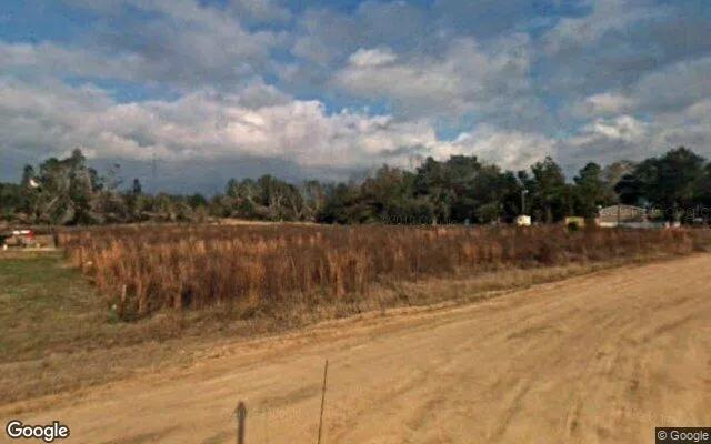 Decorative background for 1.5 Acres in Newton - Baker County, GA image 6