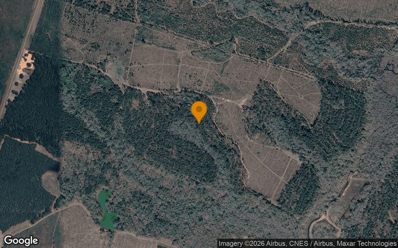 125.29 Acres in Washington - Washington County, GA in Washington County, Georgia