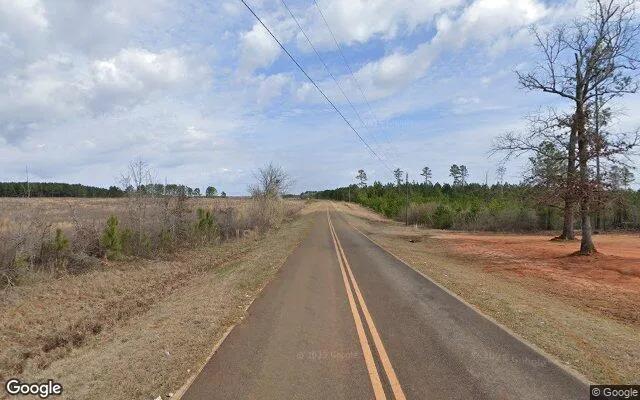 Decorative background for 125.29 Acres in Washington - Washington County, GA image 5