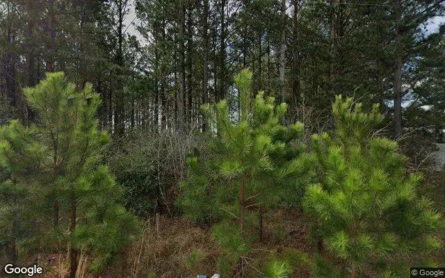 0.64 Acres in Stapleton - Jefferson County, GA - Image 4
