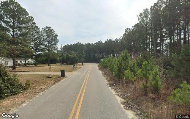 Decorative background for 0.64 Acres in Stapleton - Jefferson County, GA image 5
