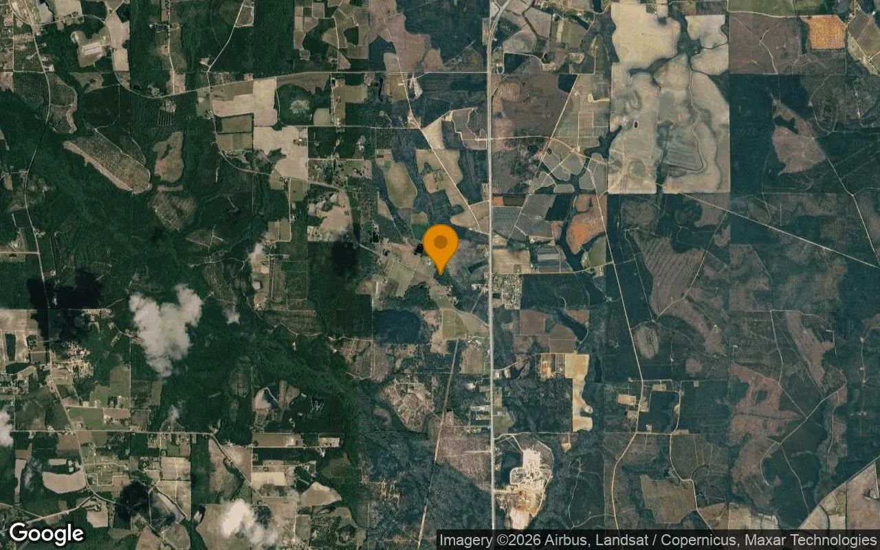 7.48 Acres in Alma - Bacon County, GA in Bacon County, Georgia