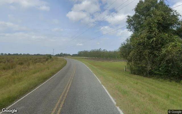 Decorative background for 7.48 Acres in Alma - Bacon County, GA image 5