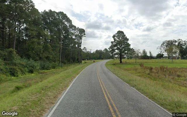 Decorative background for 7.48 Acres in Alma - Bacon County, GA image 6