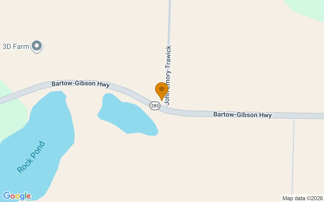 0.21 Acres in Iron City - Seminole County, GA in Seminole County, Georgia
