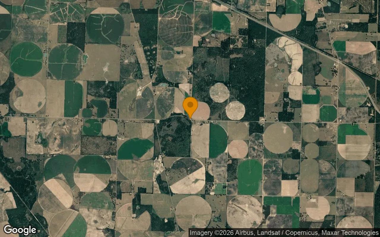0.21 Acres in Iron City - Seminole County, GA - Image 3