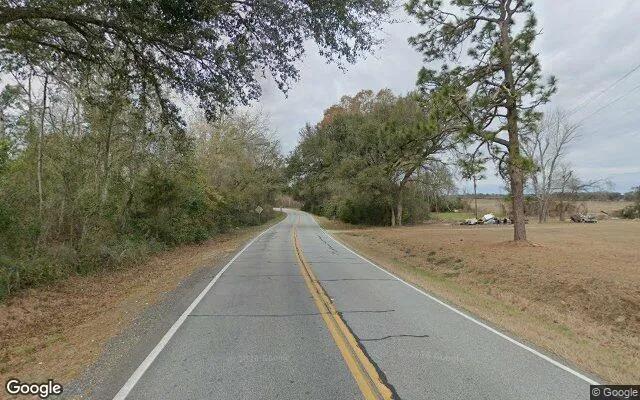 Decorative background for 0.21 Acres in Iron City - Seminole County, GA image 5