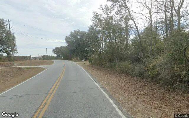 Decorative background for 0.21 Acres in Iron City - Seminole County, GA image 6