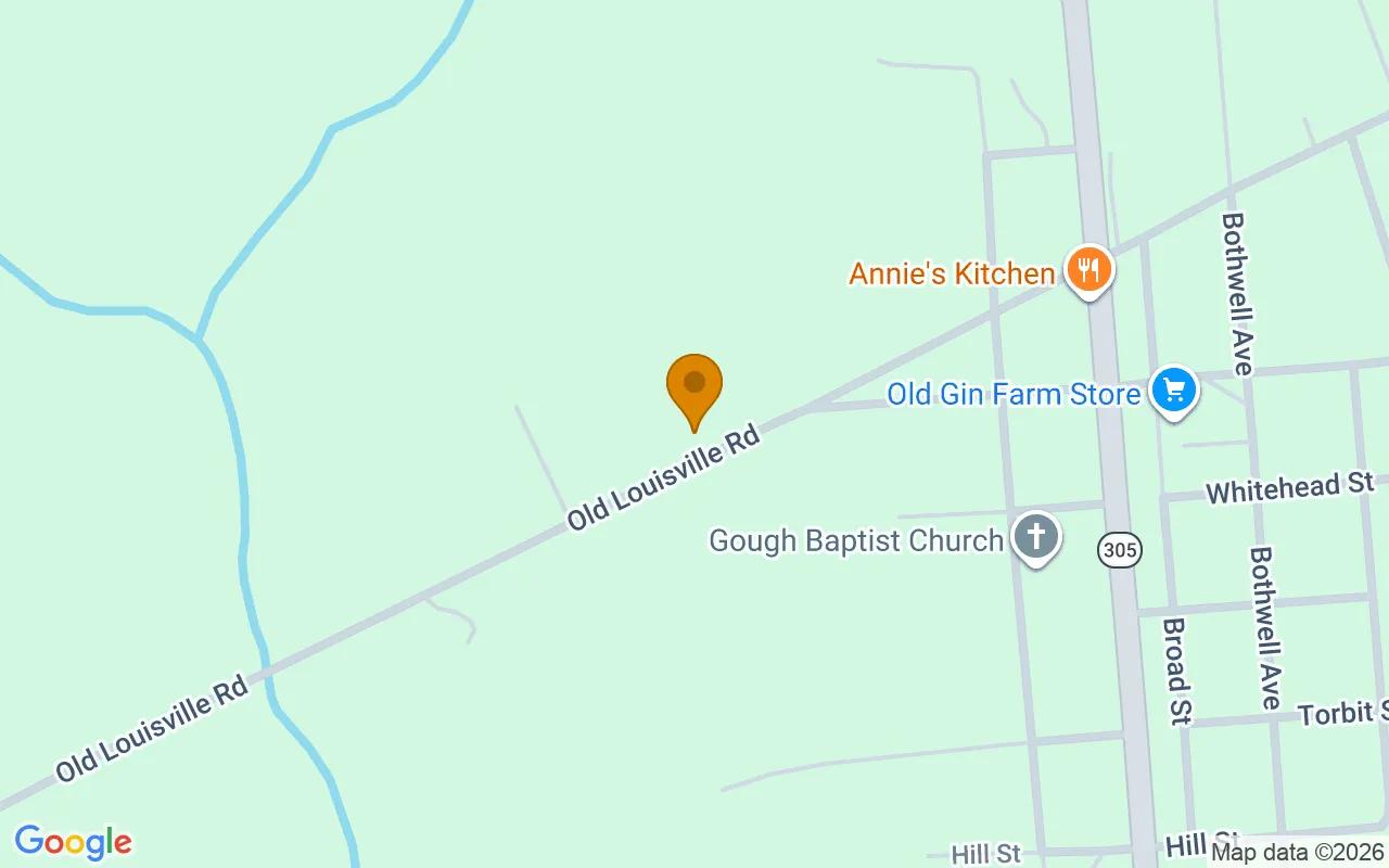 0.25 Acres in Gough - Burke County, GA - Image 2