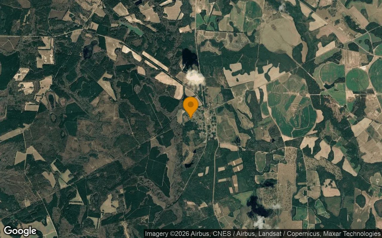 0.25 Acres in Gough - Burke County, GA in Burke County, Georgia