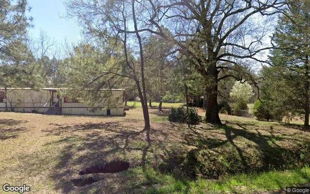 Decorative background for 0.25 Acres in Gough - Burke County, GA image 5