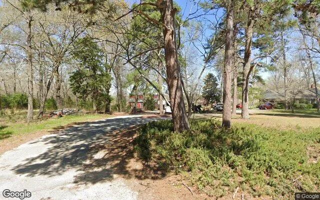 Decorative background for 0.25 Acres in Gough - Burke County, GA image 6