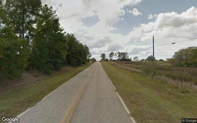 Decorative background for 7.54 Acres in Millen - Jenkins County, GA image 5