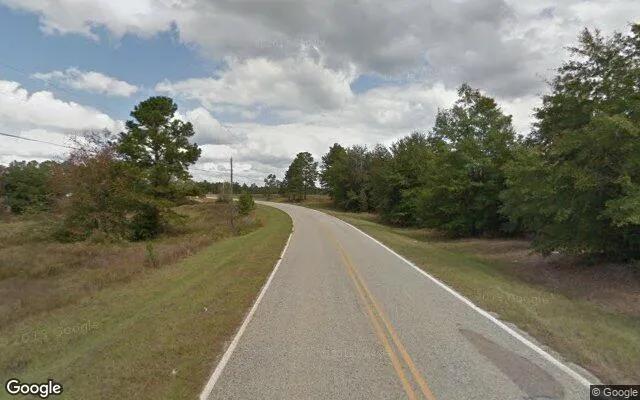Decorative background for 7.54 Acres in Millen - Jenkins County, GA image 6