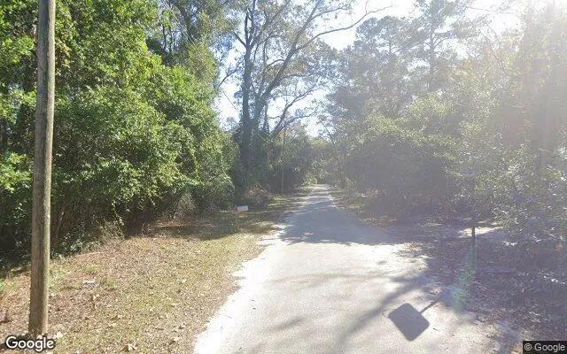 Decorative background for 0.13 Acres in Newington - Screven County, GA image 5