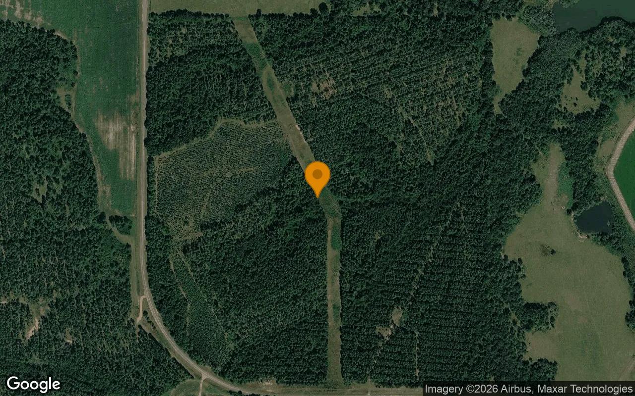 125.2 Acres in Ashburn - Turner County, GA - Main image