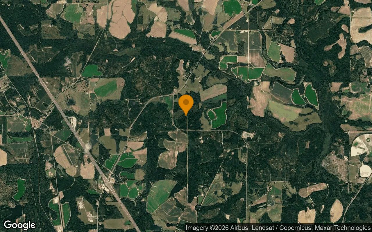 125.2 Acres in Ashburn - Turner County, GA in Turner County, Georgia