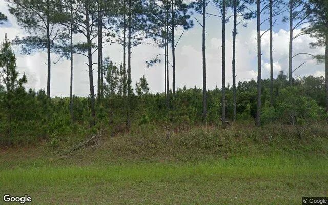 125.2 Acres in Ashburn - Turner County, GA in Turner County, Georgia