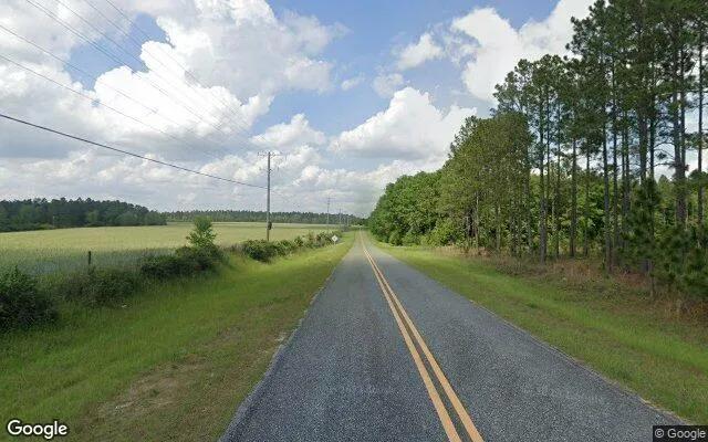 Decorative background for 125.2 Acres in Ashburn - Turner County, GA image 5
