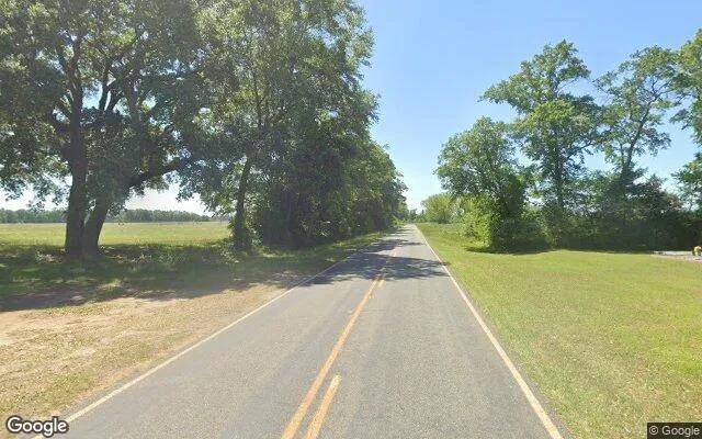 Decorative background for 2.32 Acres in Shellman - Randolph County, GA image 5