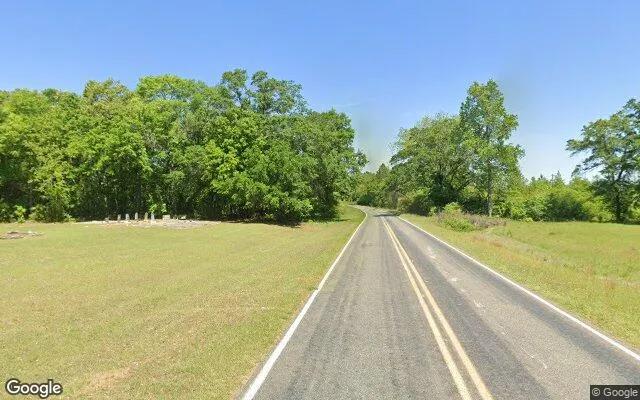 Decorative background for 2.32 Acres in Shellman - Randolph County, GA image 6