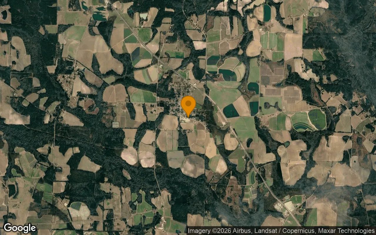 0.3 Acres in Berlin - Colquitt County, GA in Colquitt County, Georgia