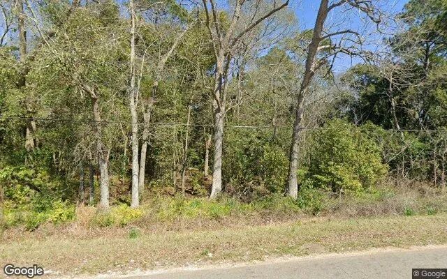0.3 Acres in Berlin - Colquitt County, GA in Colquitt County, Georgia