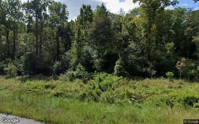 Decorative background for 1.48 Acres in Cleveland - White County, GA image 5