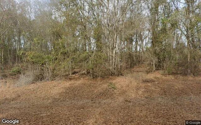 0.85 Acres in Alston - Montgomery County, GA in Montgomery County, Georgia