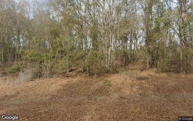 0.85 Acres in Alston - Montgomery County, GA - Image 4