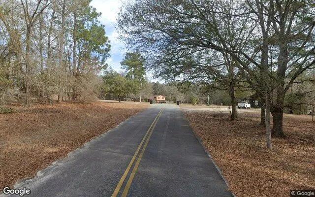 Decorative background for 0.85 Acres in Alston - Montgomery County, GA image 6
