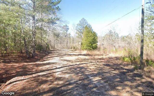 Decorative background for 0.55 Acres in Griffin - Spalding County, GA image 5