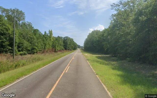 Decorative background for 74.61 Acres in Gordon - Wilkinson County, GA image 5