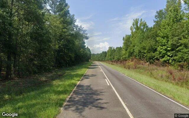 Decorative background for 74.61 Acres in Gordon - Wilkinson County, GA image 6