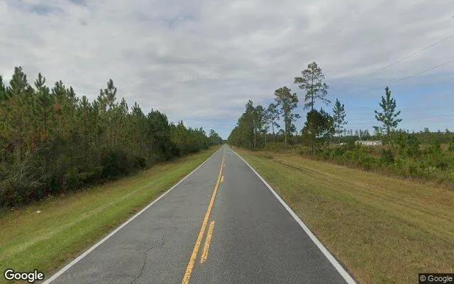 Decorative background for 12.82 Acres in White Oak - Camden County, GA image 5
