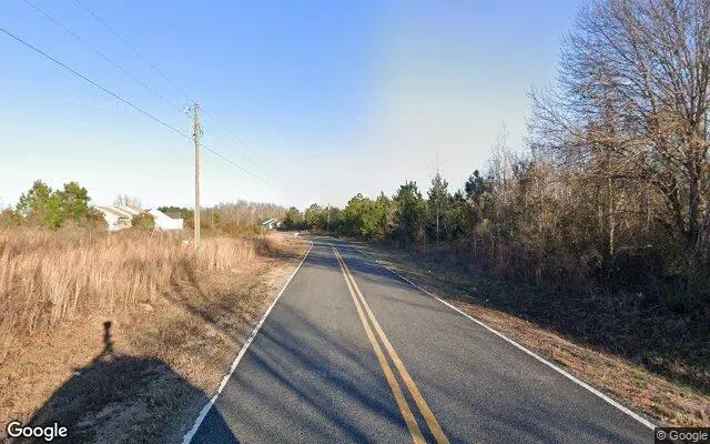Decorative background for 1.01 Acres in Ailey - Montgomery County, GA image 6