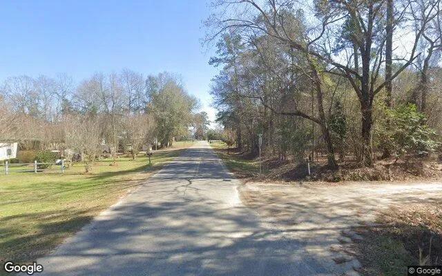 Decorative background for 0.15 Acres in Cobb - Sumter County, GA image 5