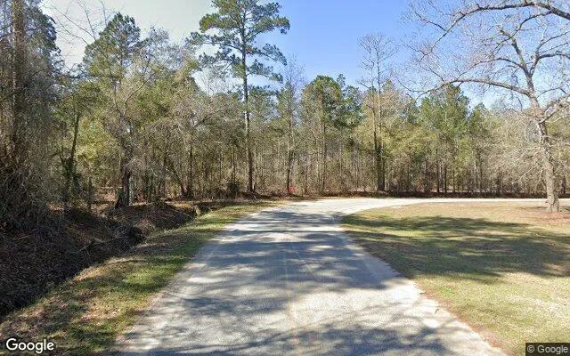 Decorative background for 0.15 Acres in Cobb - Sumter County, GA image 6