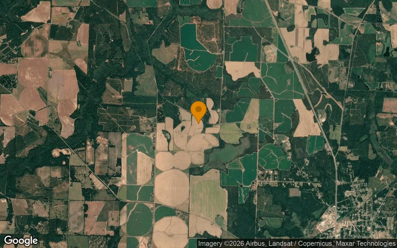 35.11 Acres in Dawson - Terrell County, GA - Image 3