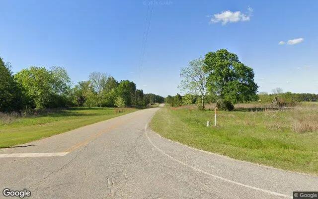Decorative background for 35.11 Acres in Dawson - Terrell County, GA image 6