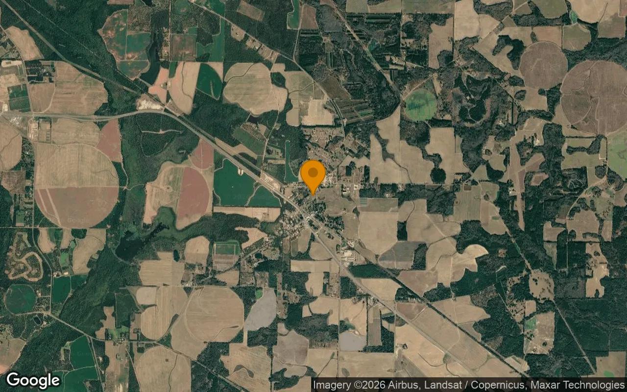 2.38 Acres in Sasser - Terrell County, GA - Image 3