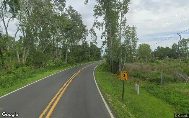 Decorative background for 3.5 Acres in Swainsboro - Emanuel County, GA image 6