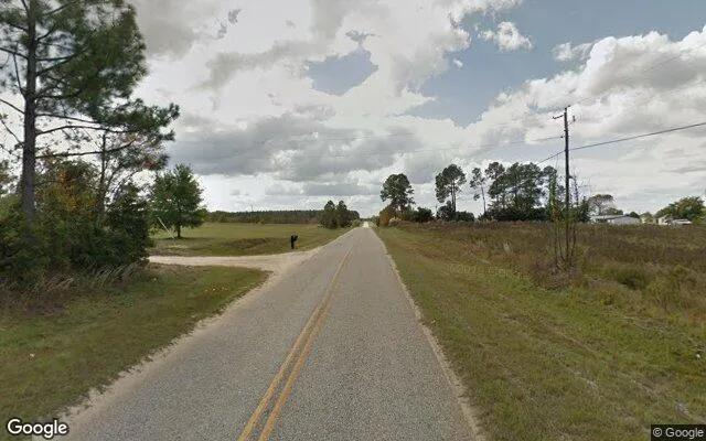 Decorative background for 7.54 Acres in Millen - Jenkins County, GA image 5