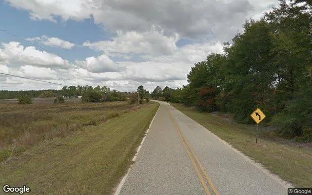 Decorative background for 7.54 Acres in Millen - Jenkins County, GA image 6