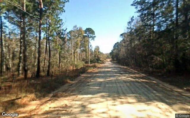 Decorative background for 1.12 Acres in Cotton - Mitchell County, GA image 5
