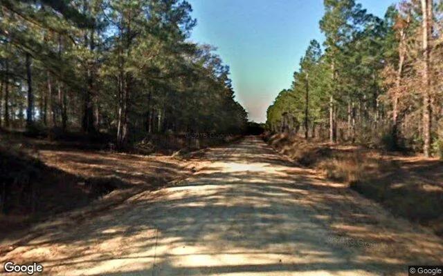 Decorative background for 1.12 Acres in Cotton - Mitchell County, GA image 6