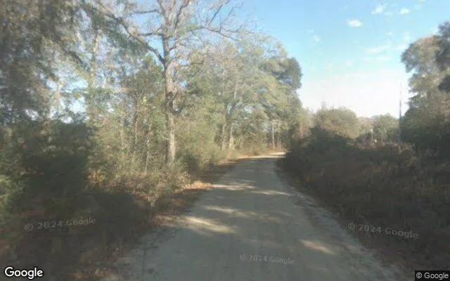 Decorative background for 7.52 Acres in Brooklet - Bulloch County, GA image 5
